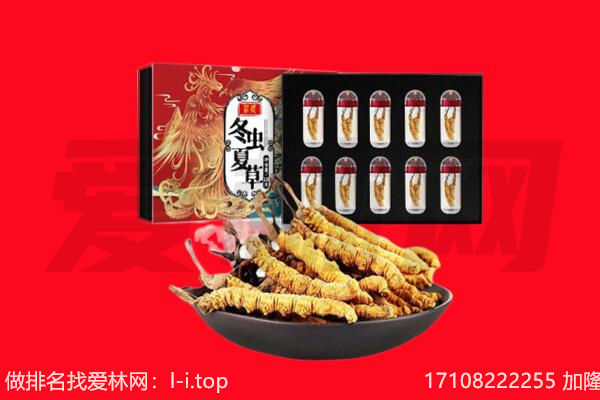 江华县回收虫草.jpg